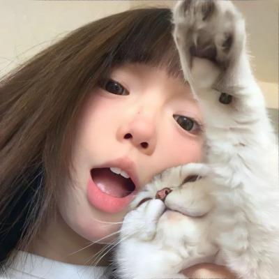 猪猪侠·不可思议的世界